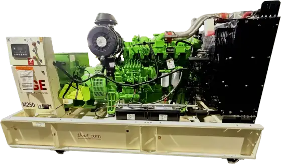 Дизельный генератор MGE250 MGE MG10D320E200